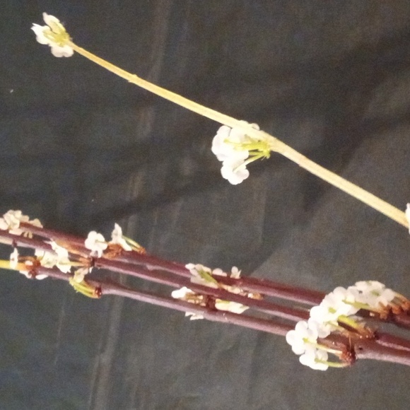 10 Pcs .40" White Blossom Faux Floral Accent Cherry Blossoms - Picture 10 of 12